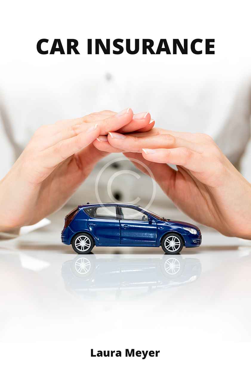 Car Insurance. Laura Meyer